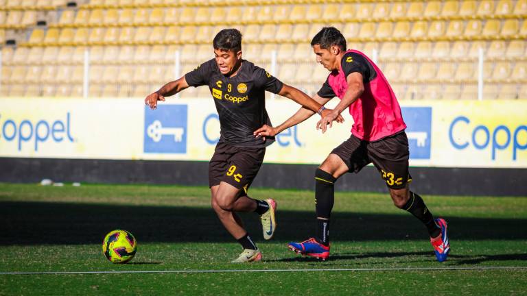Dorados de Sinaloa necesita mejorar para la segunda parte del torneo.