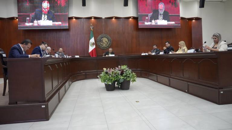 La iniciativa busca incluir la alfabetización digital crítica, la ciberseguridad y la ciudadanía digital como fines transversales de la educación.
