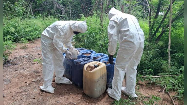 En el Walamito y San Cayetano, elementos militares aseguraron dos áreas de concentración para la elaboración de drogas sintéticas.