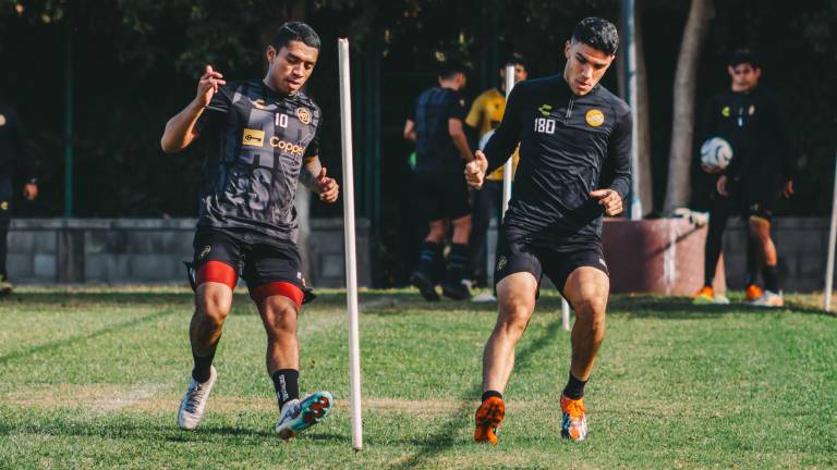Dorados de Sinaloa recibe este miércoles a Venados de Mérida, en busca de ligar triunfos.