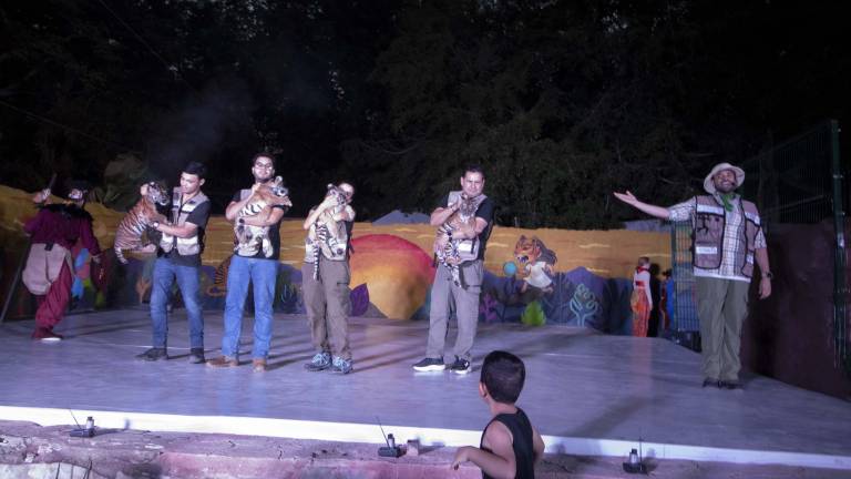 Cuatro Tigres de Bengala que nacieron en Culiacán fueron presentados a la ciudadanía.