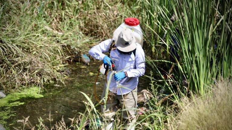 La Secretaría de Salud en Sinaloa reporta los datos sobre el dengue en la entidad.
