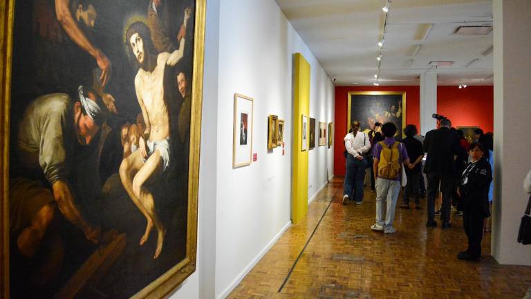 La exposición estará abierta hasta el 26 de mayo.