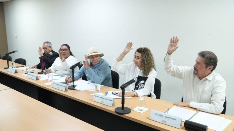 Un nuevo capítulo denominado “De la prevención del embarazo en adolescentes”, fue agregado al dictamen.