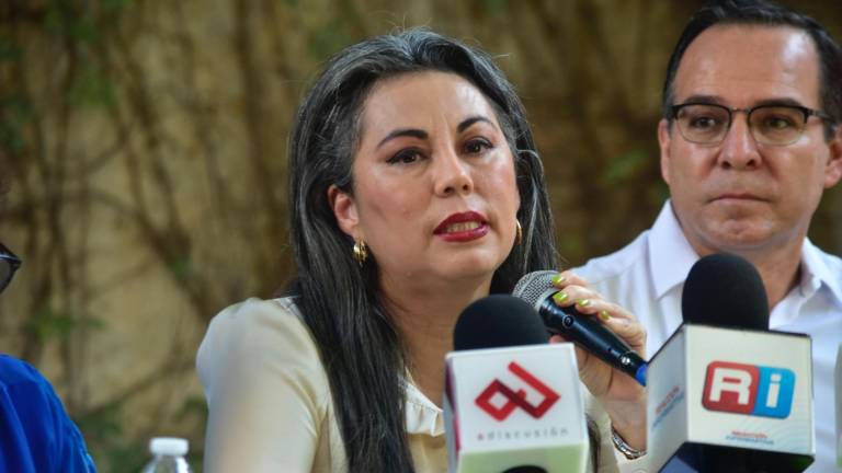 Rosa María Gámez Mendívil, secretaria del Consejo Estatal para la Prevención y Atención de la Violencia Familiar.