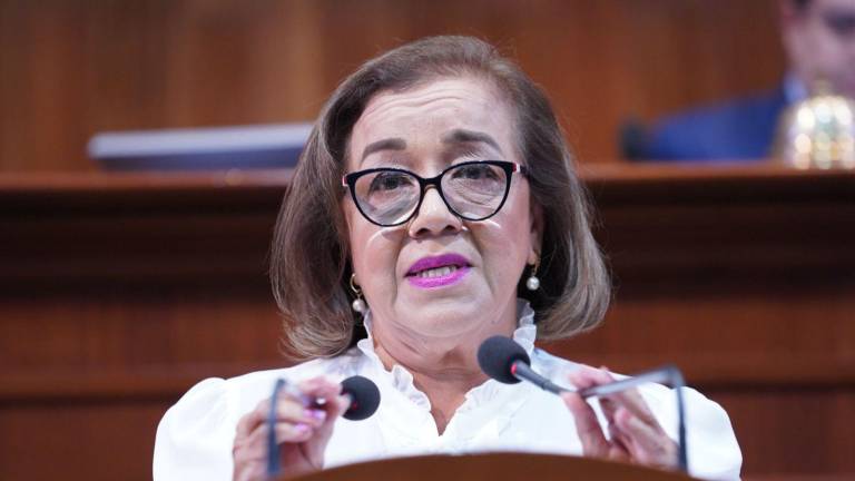 La Diputada Alba Virgen Montes Álvarez señaló que el Ejecutivo debería replantear el plan con los productores agrícolas.