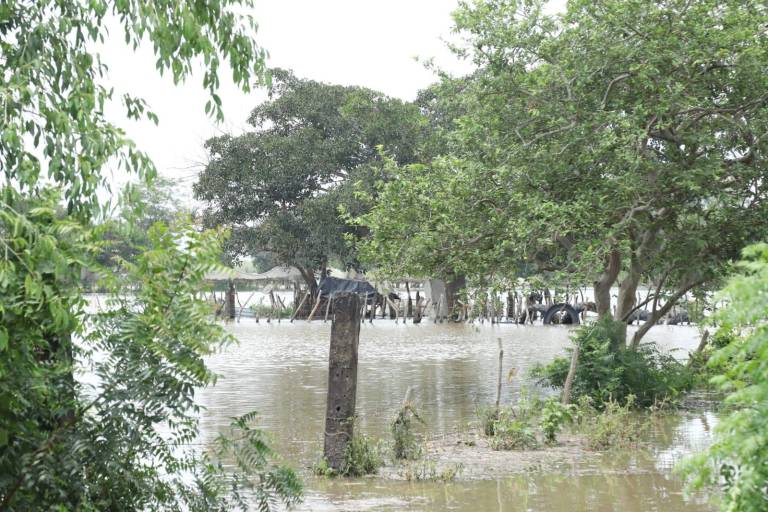 Mantiene nivel la creciente del Río Presidio en El Walamo