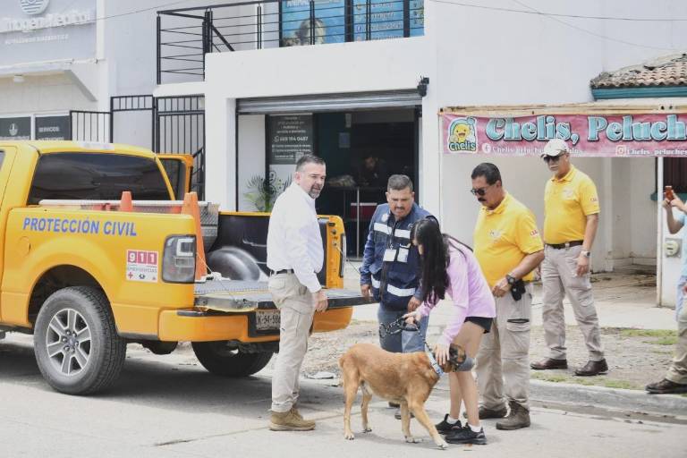 Perrito rescatado está estable y el caso está en manos de fiscalía, señala Protección Civil