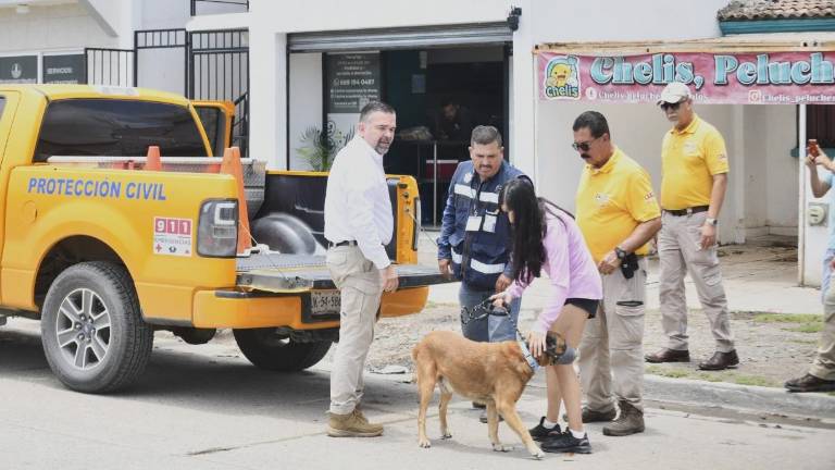 Este martes se realizó la denuncia formal por el maltrato hacia el perrito.