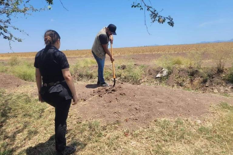 Encuentran una fosa clandestina en Culiacancito