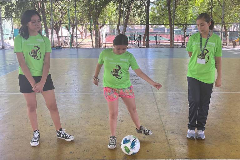 Imdec pone en marcha sus Cursos de Verano 2024
