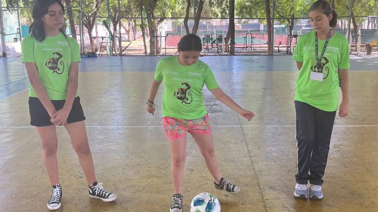 El Curso de Verano 2024 fue puesto en marcha por el Imdec.