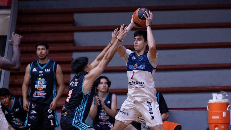 Dentro de las novedades que tendrá la LBP para la próxima temporada, es que contará con la baja de dos equipos.