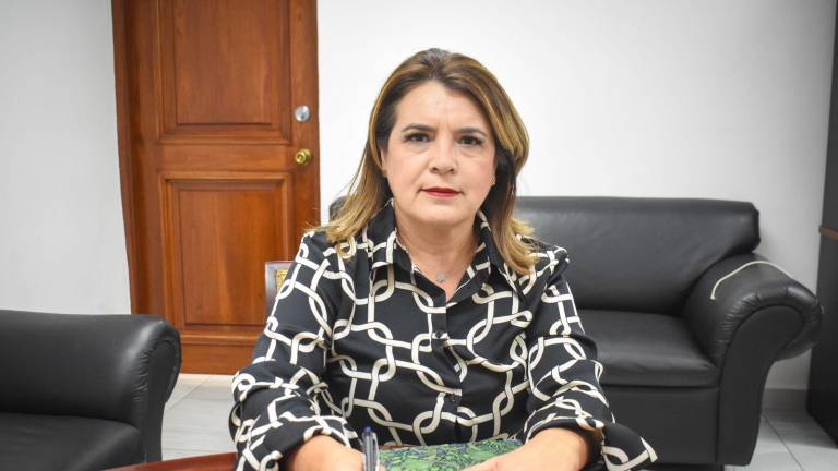 Hortensia Cota González indicó que la meta para este año es superar los 127 millones de pesos.