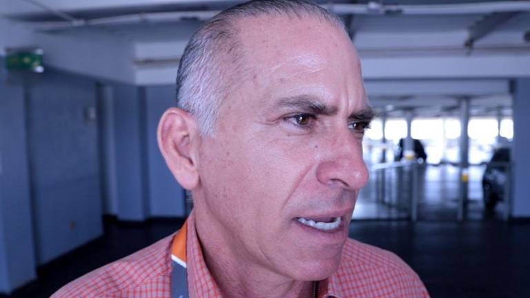 Ismael Díaz Murillo, presidente del Grupo Diazteca, habla de la urgencia de apoyos para adaptar la tecnología a la producción de mango.