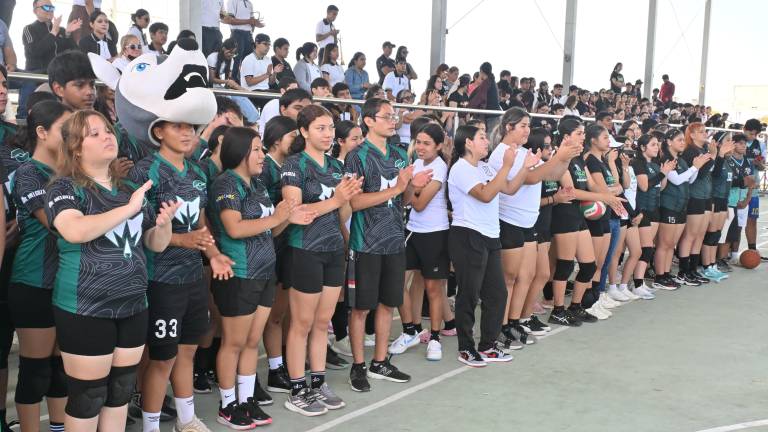 En el evento participan cerca de 280 alumnos.