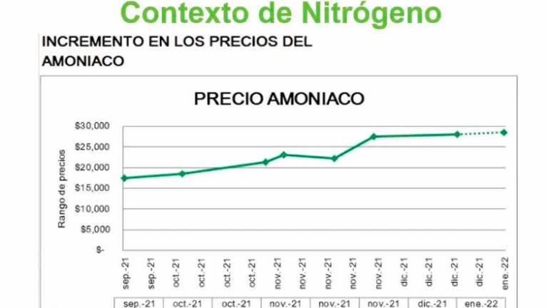 Ingredion, CIMMYT y AARC capacitan para optimizar el uso de fertilizantes en cultivo de maíz