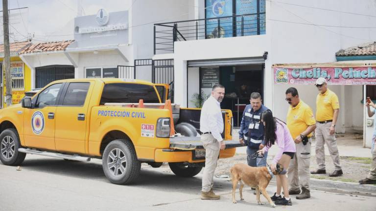 Dirección de Ecología y Medio Ambiente de Mazatlán brindó acompañamiento a la rescatista que tiene bajo resguardo al perro que sufrió maltrato animal la noche del lunes.