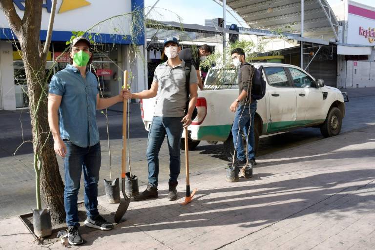 Continúa programa de arborización en el primer cuadro de la ciudad