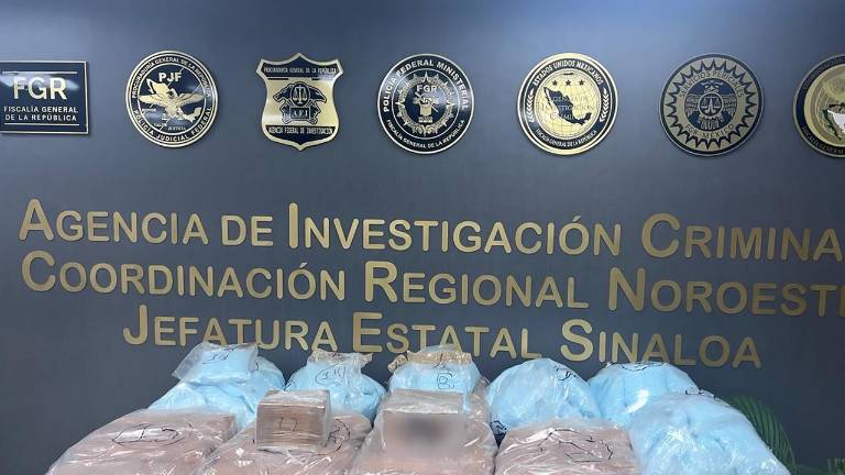 Paquetes de drogas asegurados dentro de panales de abeja al norte de Culiacán.