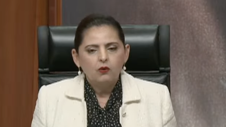La magistrada presidenta del TEPJF, Mónica Soto, sostuvo no se puede anular la elección porque “no hay una sola prueba”.