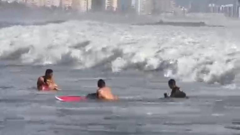 El exitoso rescate se reportó la tarde de este sábado, en la zona de Playa Brujas.