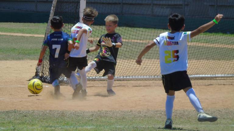Este domingo saldrán los campeones.