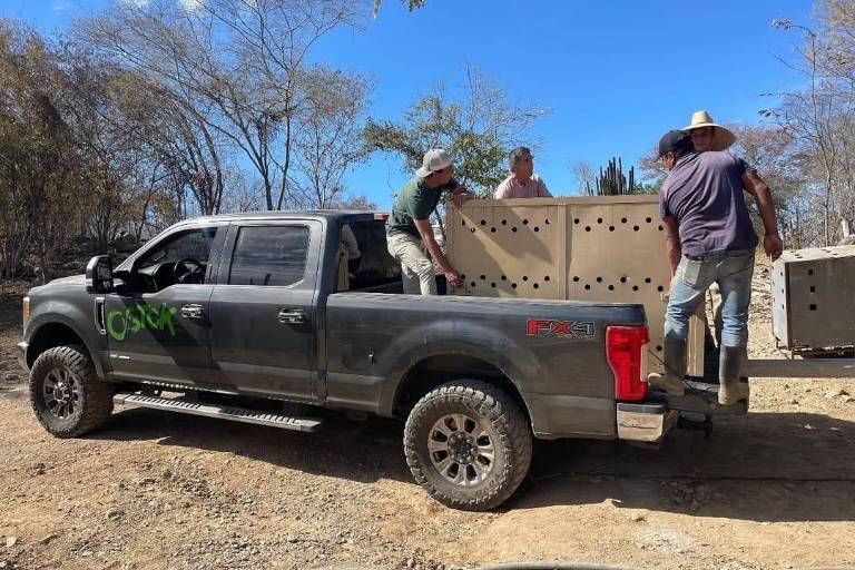 Despojan camioneta de rescate animal a trabajadores de Santuario Ostok en Culiacán