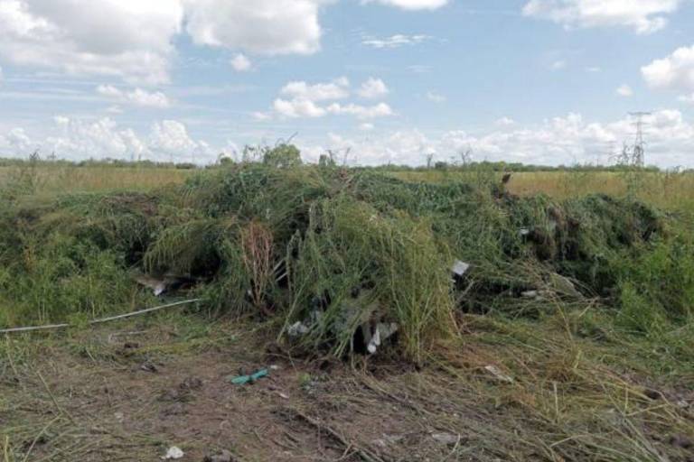 Muere piloto agrícola tras desplome de avioneta en Sinaloa
