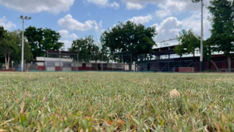 Los chicos de la Liga Pequeño Colhuacan podrán jugar de noche.