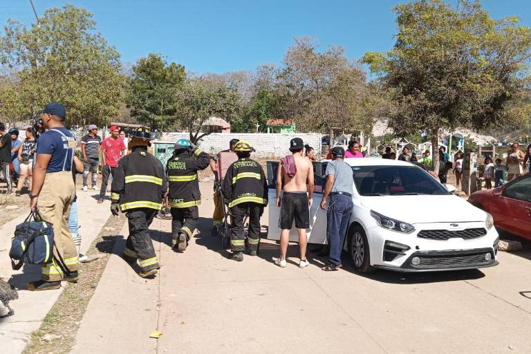 Enjambre de abejas ataca a familia en el panteón de Urías en Mazatlán