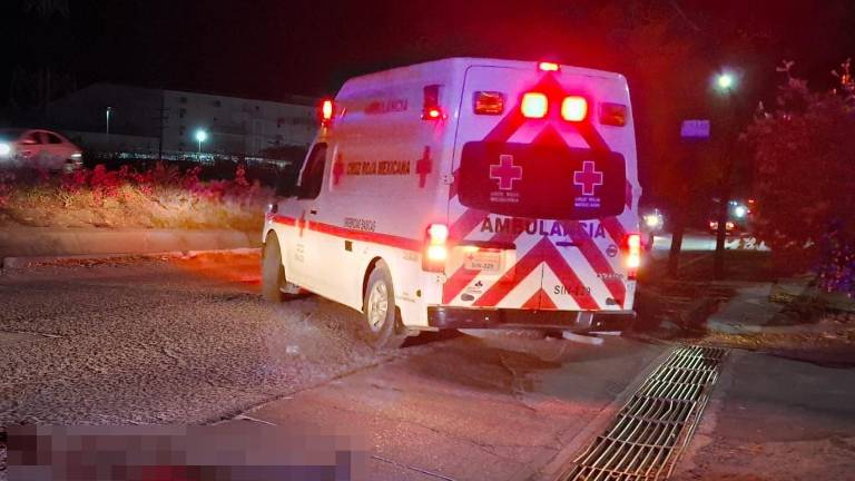 La víctima fue atacada tras un intento de robo.