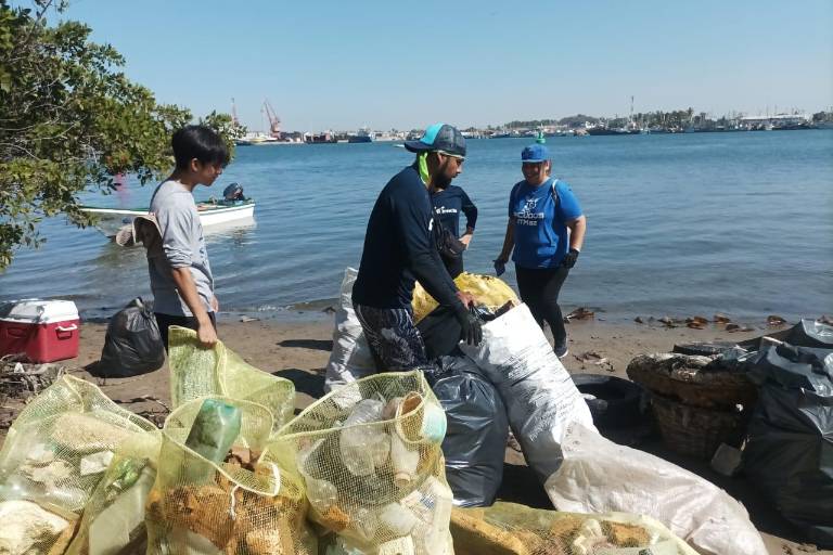 Recogen 1.4 toneladas de basura en mangle de la Isla de la Piedra
