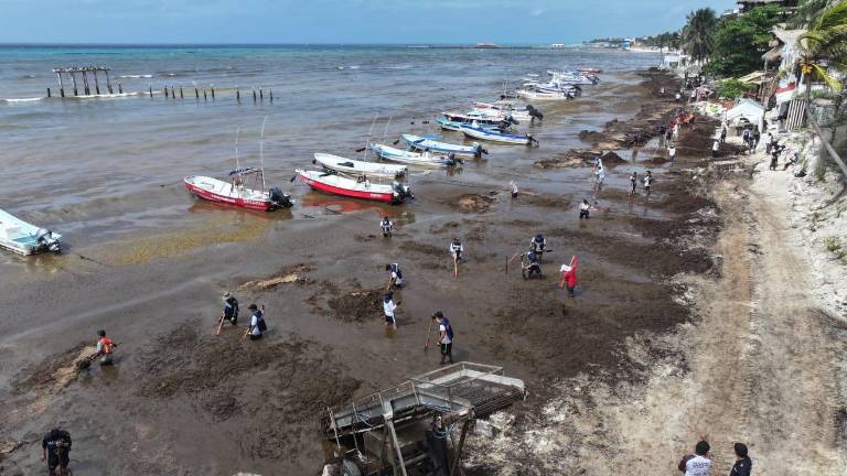Personal naval participa en labores de recolección de sargazo en playas del Caribe mexicano.