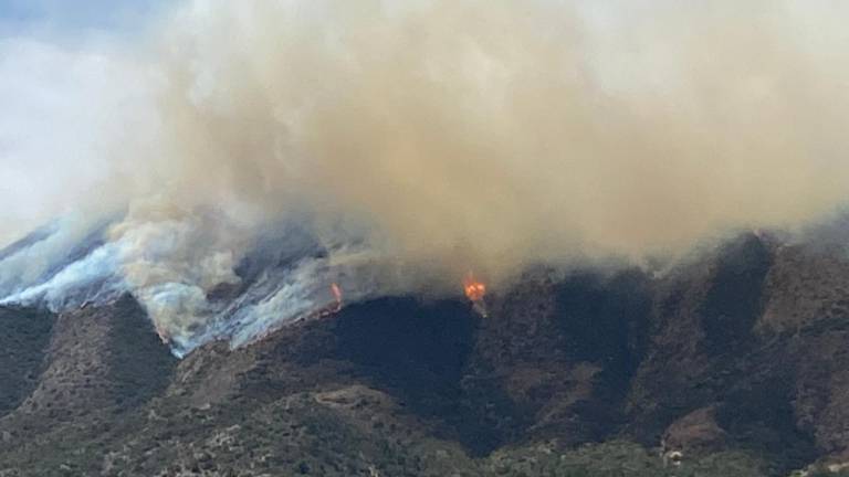 La sierra de Galeana es una de las zonas más afectada.