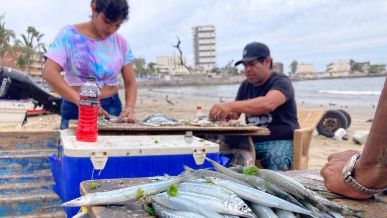 El tradicional “pajarito” ya está presente en Playa Norte.