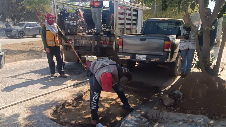 El MazBachetón lleva cinco meses activo.