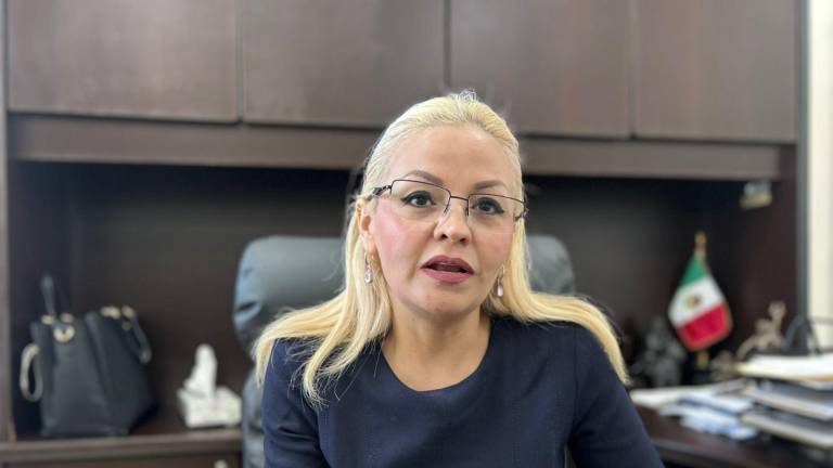 Ramírez Herrera destacó que estas anomalías se detectaron después de estimar que el promedio general de participación ciudadana fue entre el 12 y 13 por ciento.
