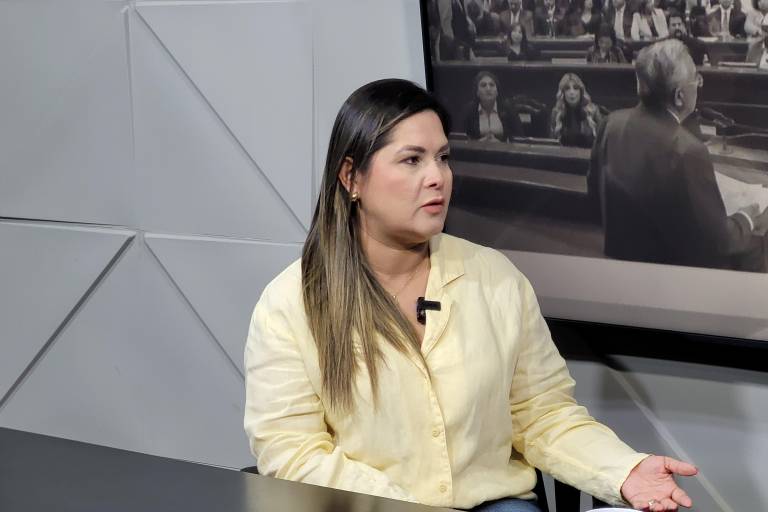Votación al Poder Judicial quitará nepotismo: Ana Lucía Carrión