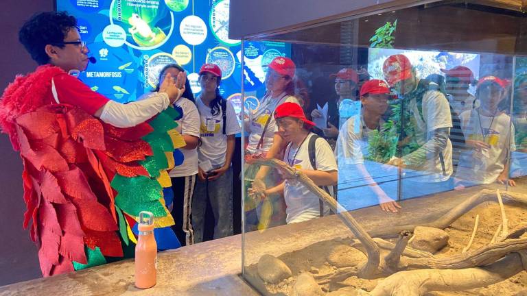 Niños y niñas del CRIT disfrutaron de actividades adaptadas especialmente para ellos.