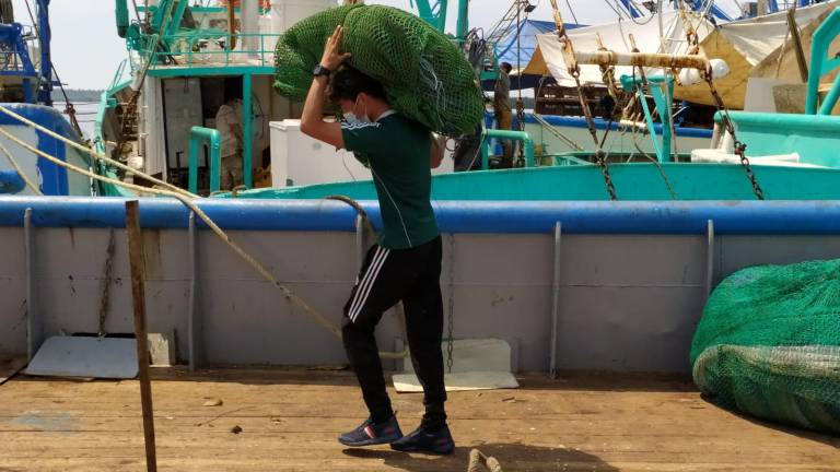 Los barcos comienzan sus reparaciones previo al arranque de capturas.