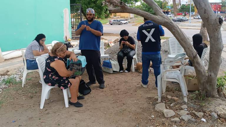 Campaña de esterilización de mascotas en el Infonavit Alarcón, en Mazatlán.
