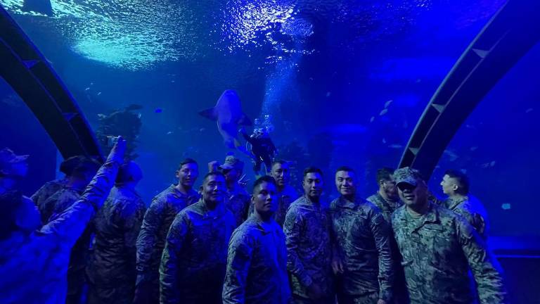 Marinos disfrutaron de los diversos atractivos del Gran Acuario Mazatlán Mar de Cortés.