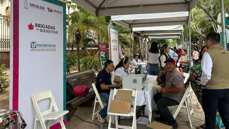 Las Brigadas del Bienestar se ubican en la plazuela Álvaro Obregón.