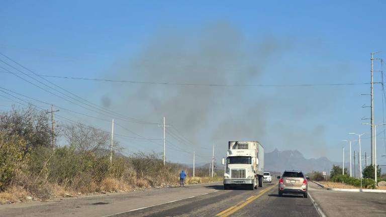 Los principales focos rojos han estado junto a las carreteras.