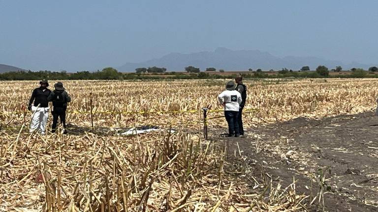 Mediante trabajo de excavación fue que se localizaron indicios de posibles restos humanos que habían sido enterrados en el lugar.