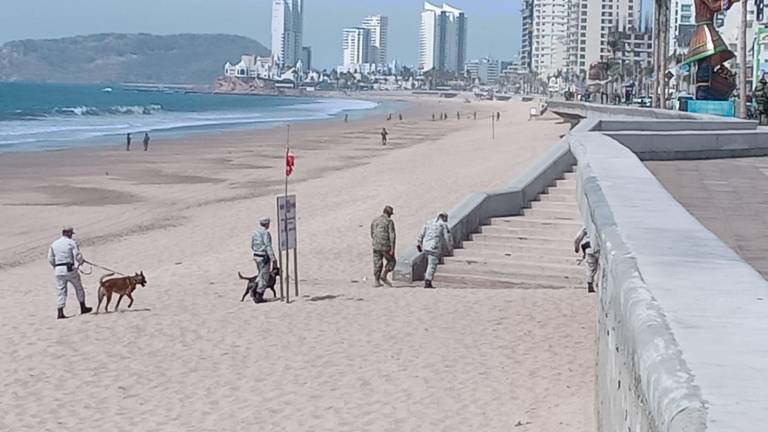 Elementos de la Secretaría de Marina y el Ejército en revisiones acompañados de binomios caninos.