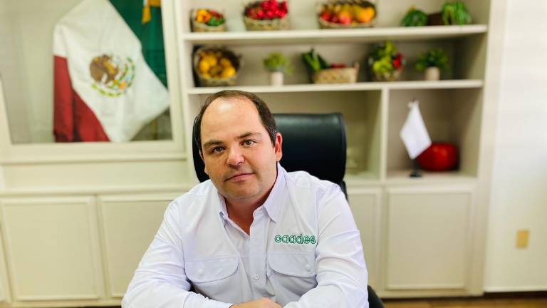 Jesús Alberto Rojo, presidente de la Caades, pidió al Gobierno frenar prácticas especulativas que afectan a los productores de maíz en Sinaloa.