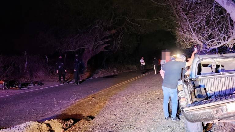 Un cocodrilo fue atropellado a la medianoche y ocasionó un accidente donde murieron tres personas.