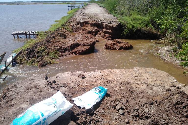 Afecta Nora producción de camarón en Escuinapa, pero falta evaluar los daños: Dirigente pesquero